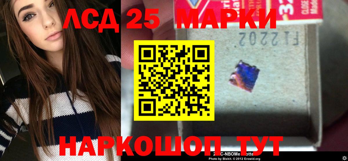 Курчатов  Лсд 25 экстази кислота  Вход с VPN  kraken ссылки  LSD-25 экстази кислота 