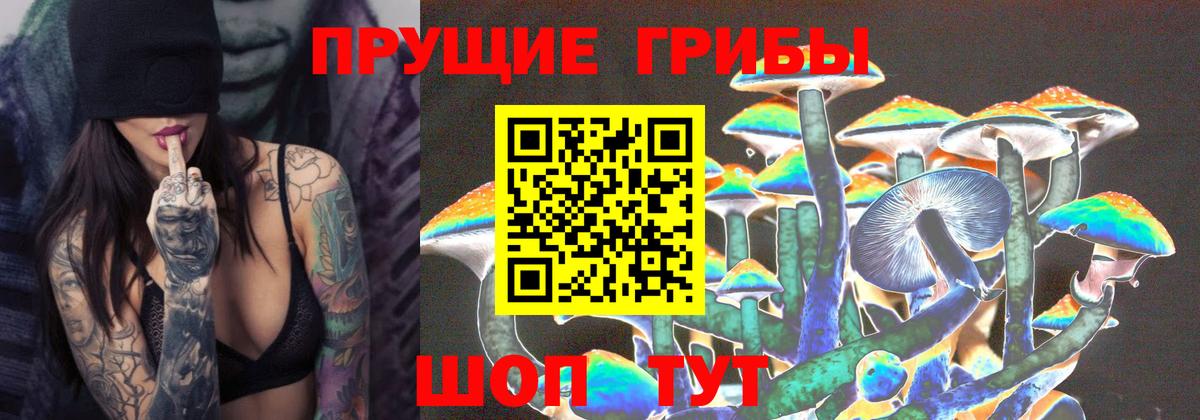 Псилоцибиновые грибы Magic Shrooms Курчатов