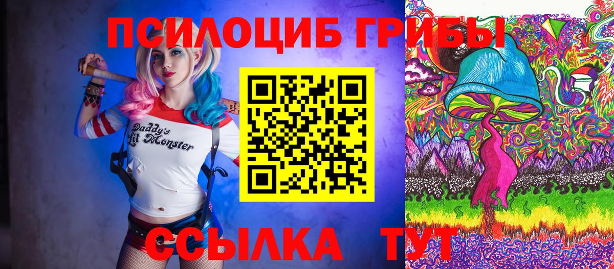Псилоцибиновые грибы Psilocybe  Вход с VPN  Курчатов 